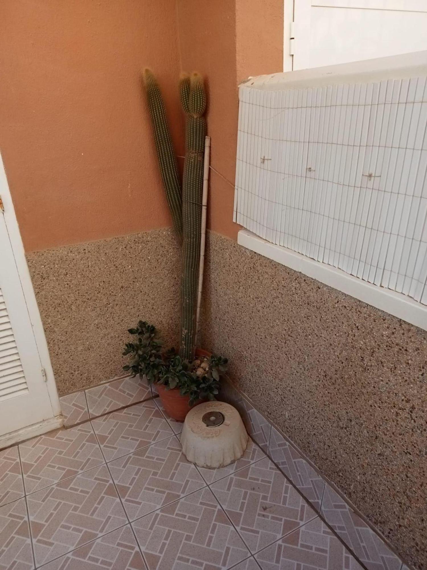 Mar-Home-Costa-Blanca La Mata  Εξωτερικό φωτογραφία